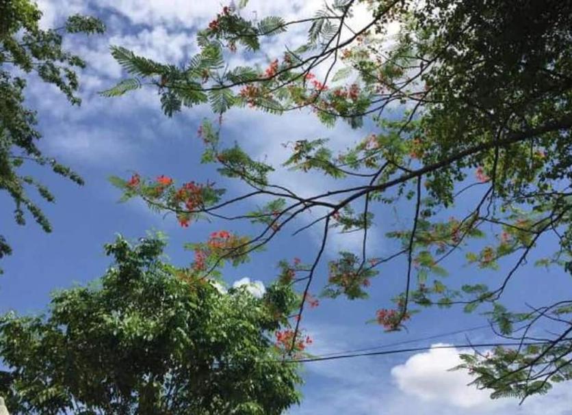 วิวภายนอก รูปภาพ
