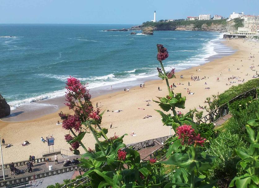 ชายหาด รูปภาพ