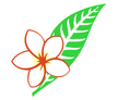 Lao Airlines